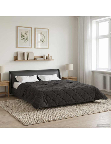 Duvet Estivo Antracite 200 x 220 cm Microfibra e Fleece Teddy