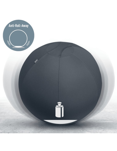 Leitz Active Sitzball 55cm Grigio Interno Sfera