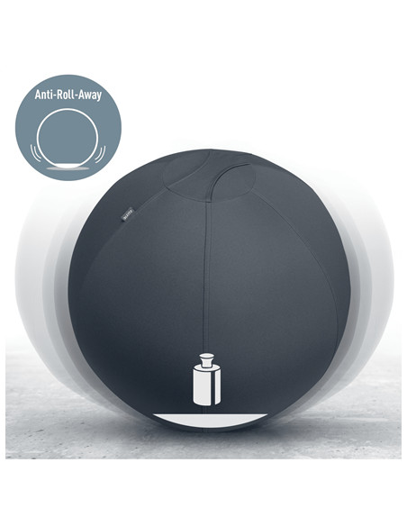 Leitz Active Sitzball 55cm Grigio Interno Sfera