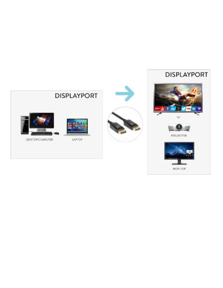 CAVO DISPLAYPORT 1.3 M/M 300CM