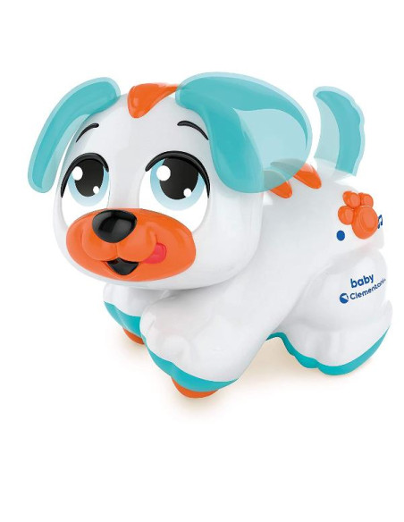 CERCACOCCOLE CAGNOLINO
