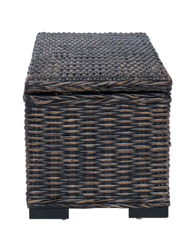 Scatola di Stoccaggio con archiviazione Nero 110 x 35 x 45 cm
