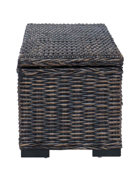 Scatola di Stoccaggio con archiviazione Nero 110 x 35 x 45 cm