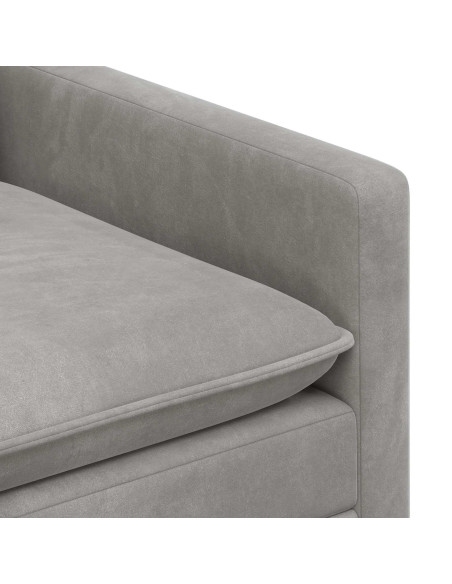 Set di divani 2 pcs Grigio Chiaro Velluto