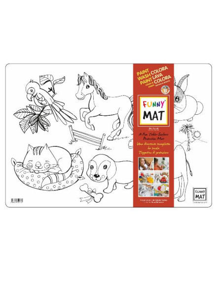 CF10 KIT FUNNY MAT 10