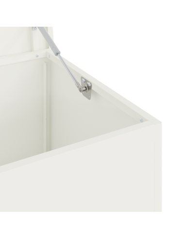Scatola di Stoccaggio Esterno Bianco 100 x 50,5 x 50 cm Acciaio
