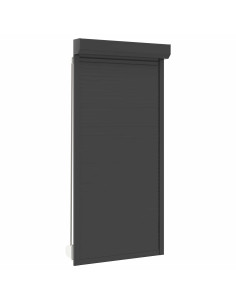 Persiana a rullo Antracite 100 x 210 cm Alluminio e poliuretano 2