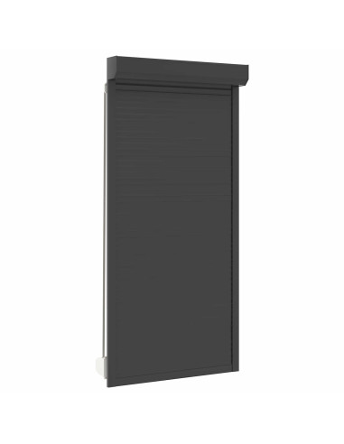 Persiana a rullo Antracite 100 x 210 cm Alluminio e poliuretano