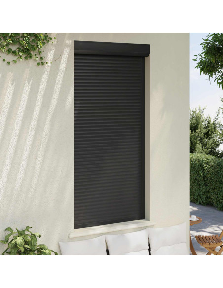 Persiana a rullo Antracite 100 x 210 cm Alluminio e poliuretano