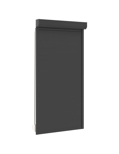 Persiana a rullo Antracite 110 x 220 cm Alluminio e poliuretano