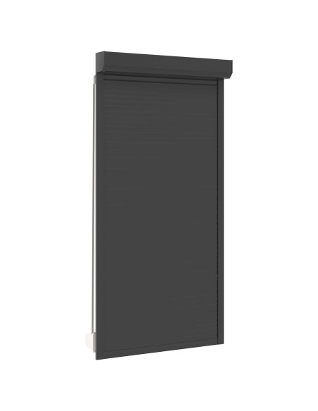 Persiana a rullo Antracite 110 x 220 cm Alluminio e poliuretano