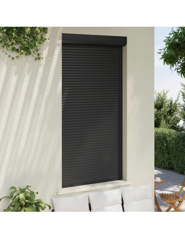 Persiana a rullo Antracite 110 x 220 cm Alluminio e poliuretano