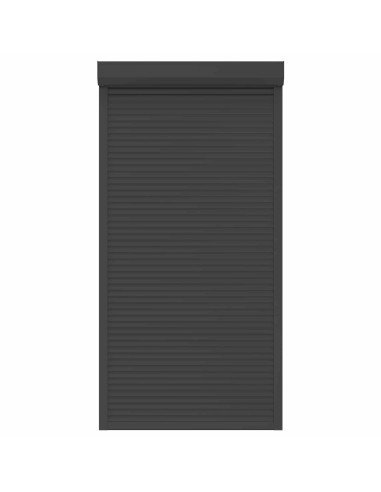 Persiana a rullo Antracite 110 x 220 cm Alluminio e poliuretano