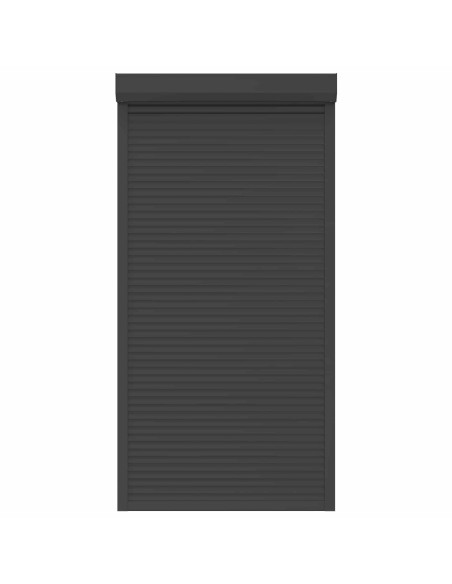 Persiana a rullo Antracite 110 x 220 cm Alluminio e poliuretano