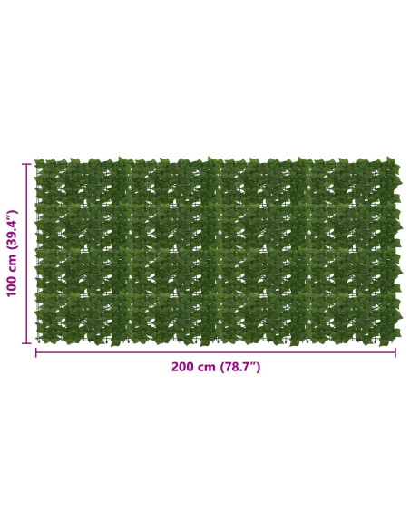 Schermo per balcone con foglie Verde 200 x 100 cm