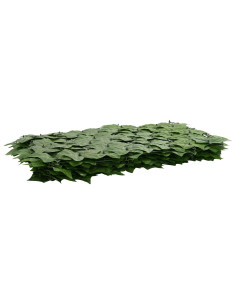 Schermo per balcone con foglie Verde 500 x 150 cm 2