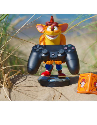 CRASH QUANTUM CABLE GUY
