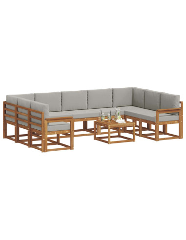 Set di divani con cuscino 10 pcs Grigio Naturale e Chiaro