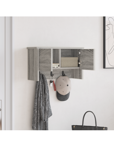Appendiabiti a muro con porta Grigio Sonoma 50 x 20 x 30 cm