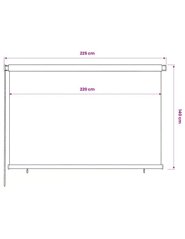 Tenda a Rullo per Esterni 220x140 cm Nera