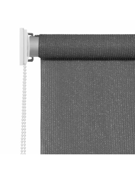 Tenda a Rullo per Esterni 400x230 cm Antracite