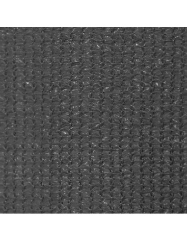 Tenda a Rullo per Esterni 400x230 cm Antracite