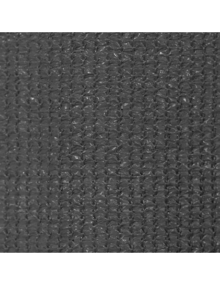 Tenda a Rullo per Esterni 400x230 cm Antracite