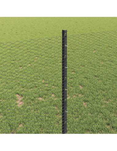 Recinzione con Posto Grigio 1 x 10 m Acciaio e PVC