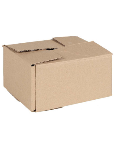 Scatola Pieghevole 50 pcs Naturale 20 x 15 x 10 cm Cartone