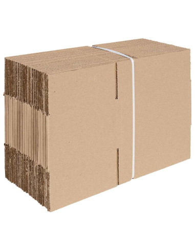 Scatola Pieghevole 50 pcs Naturale 20 x 15 x 10 cm Cartone