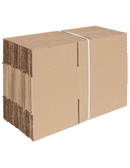 Scatola Pieghevole 50 pcs Naturale 20 x 15 x 10 cm Cartone