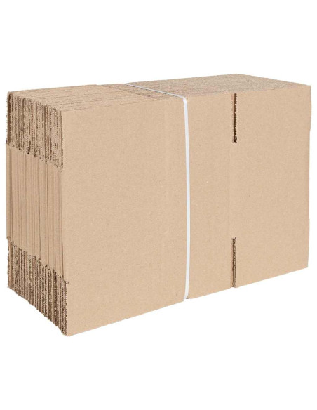 Scatola Pieghevole 50 pcs Naturale 24 x 13 x 13 cm Cartone