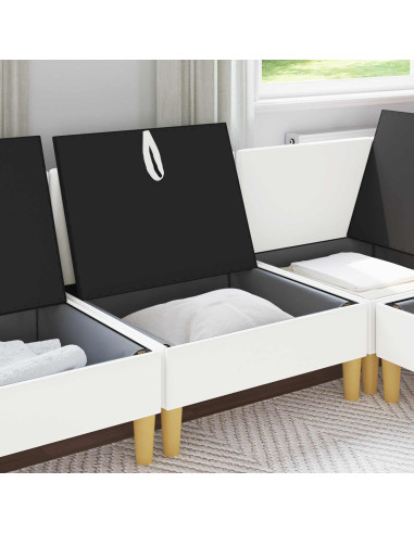 Pouf contenitore