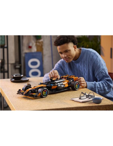 TECHNIC 42228