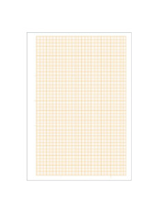 CF25 CARTA MILLIMET. 10FG 21X29,7CM