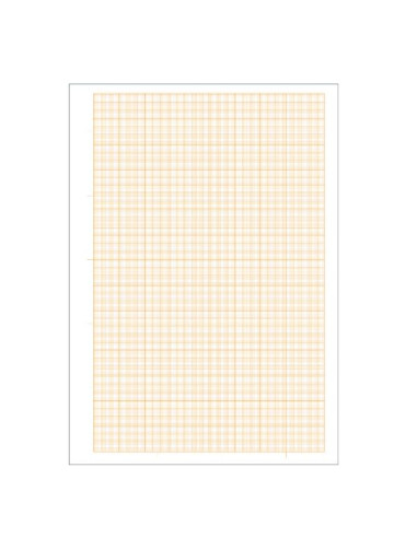 CF25 CARTA MILLIMET. 10FG 21X29,7CM