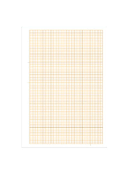 CF25 CARTA MILLIMET. 10FG 21X29,7CM