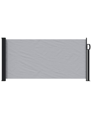 Tenda laterale retrattile Grigio 300 x 100 cm Poliestere