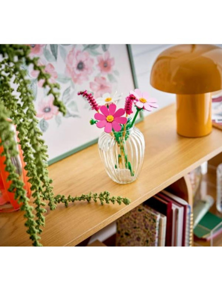 FIORI DI COSMOS