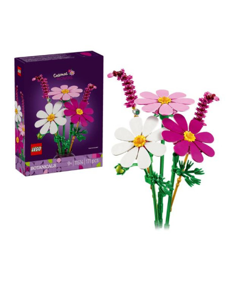 FIORI DI COSMOS