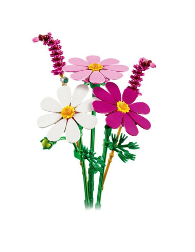 FIORI DI COSMOS