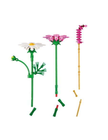 FIORI DI COSMOS