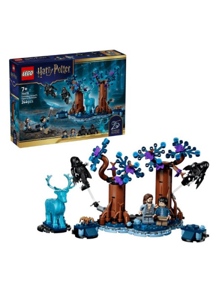 FORESTA PROIBITA: EXPECTO PATRONUM