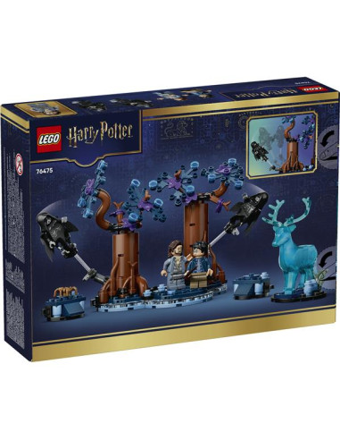 FORESTA PROIBITA: EXPECTO PATRONUM
