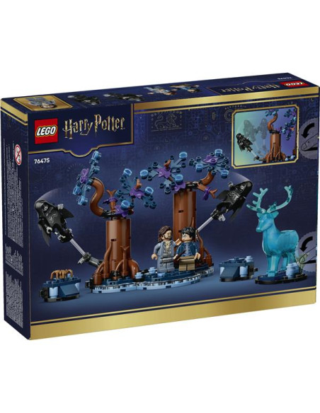 FORESTA PROIBITA: EXPECTO PATRONUM