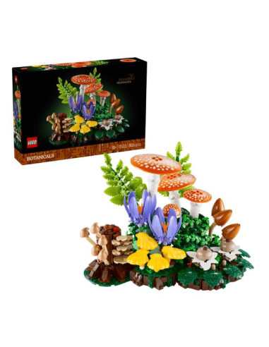 FUNGHI DEL BOSCO