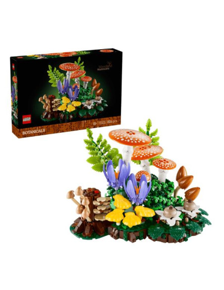 FUNGHI DEL BOSCO