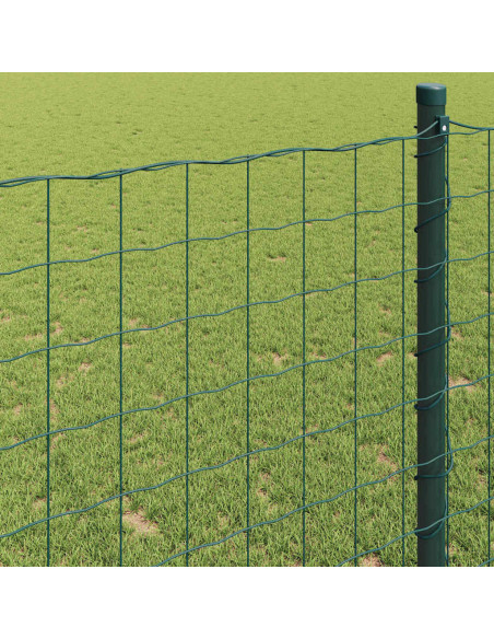 Recinzione Euro Verde 0,6 x 50 m Ferro rivestito in PVC