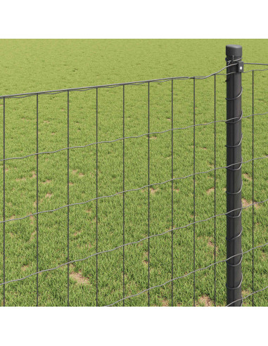 Recinzione Euro Grigio 1,6 x 10 m Ferro rivestito in PVC