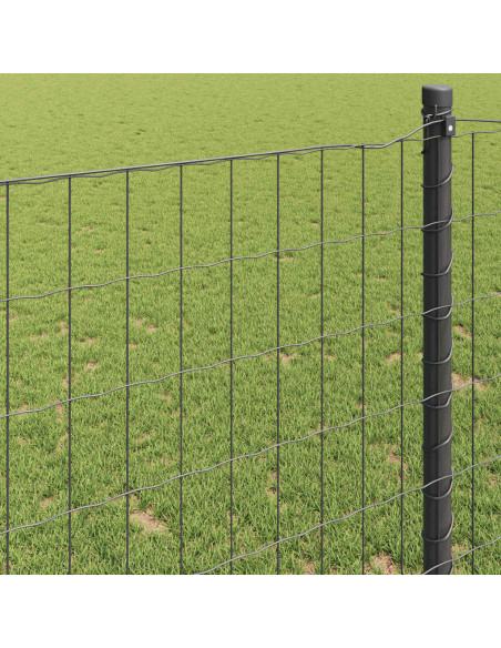 Recinzione Euro Grigio 1,6 x 10 m Ferro rivestito in PVC